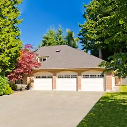 Low Rate Tree Services logo, Tree service in Northwest Arkansas