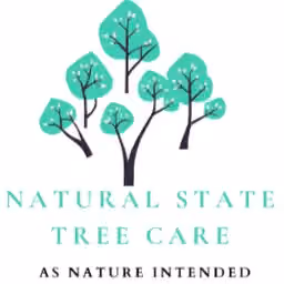 Natural State Tree Care logo, Tree service in Fayetteville, AR
