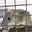 Wildlife Control Fayetteville, Springdale, Rogers logo, Pest control in Fayetteville, AR